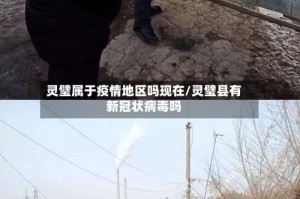 灵璧属于疫情地区吗现在/灵璧县有新冠状病毒吗