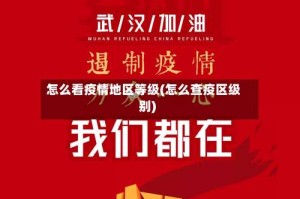 怎么看疫情地区等级(怎么查疫区级别)