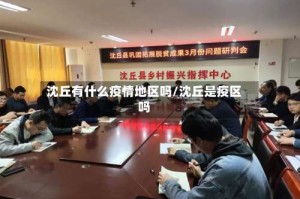 沈丘有什么疫情地区吗/沈丘是疫区吗
