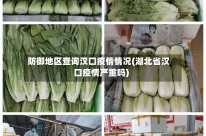 防御地区查询汉口疫情情况(湖北省汉口疫情严重吗)