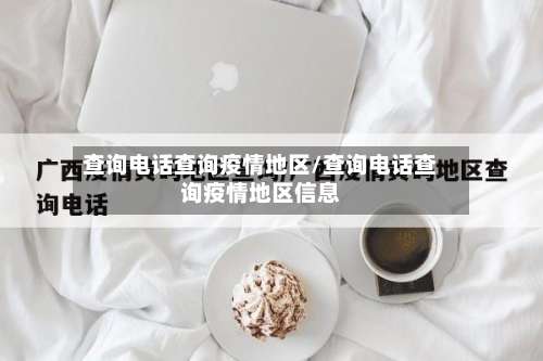 查询电话查询疫情地区/查询电话查询疫情地区信息-第2张图片