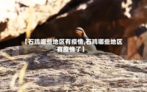 【石鸡哪些地区有疫情,石鸡哪些地区有疫情了】-第2张图片