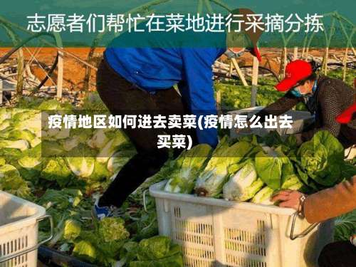 疫情地区如何进去卖菜(疫情怎么出去买菜)-第3张图片