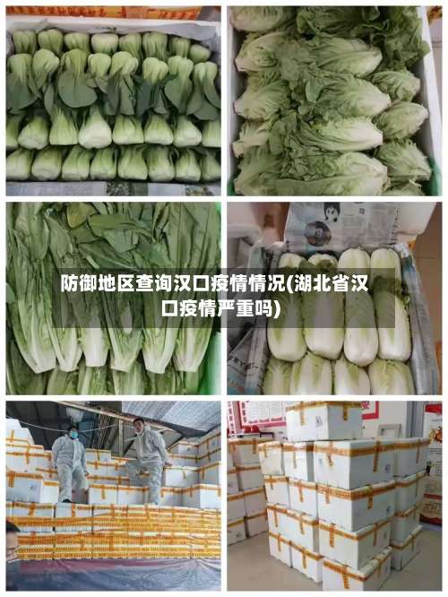 防御地区查询汉口疫情情况(湖北省汉口疫情严重吗)-第1张图片
