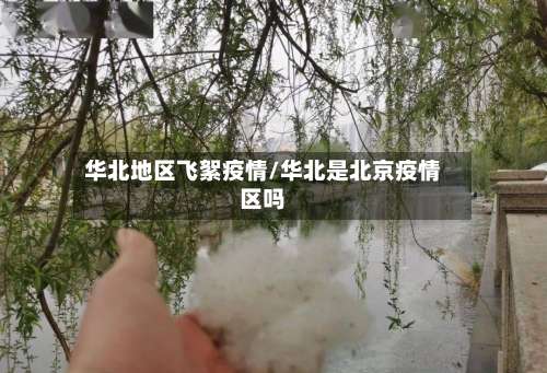 华北地区飞絮疫情/华北是北京疫情区吗-第2张图片